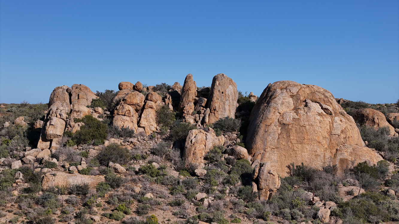 Nuwefonteinskop Wildflower Trail with Wide Open Spaces