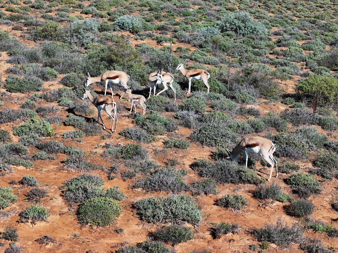 Nuwefonteinskop Wildflower Trail with Wide Open Spaces